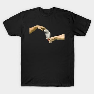 scritching an african grey T-Shirt